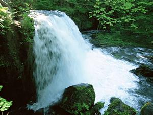 【2024年最新情報】東横INN札幌駅西口北大前の魅力と無料サービスガイド